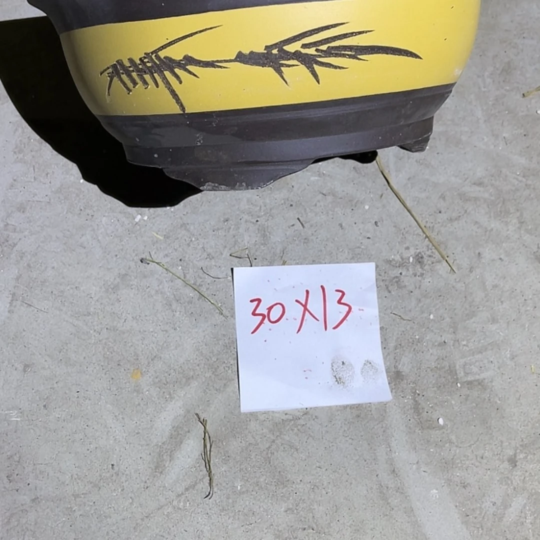 【闪购商品】紫砂20cm(含)-50cm(含)