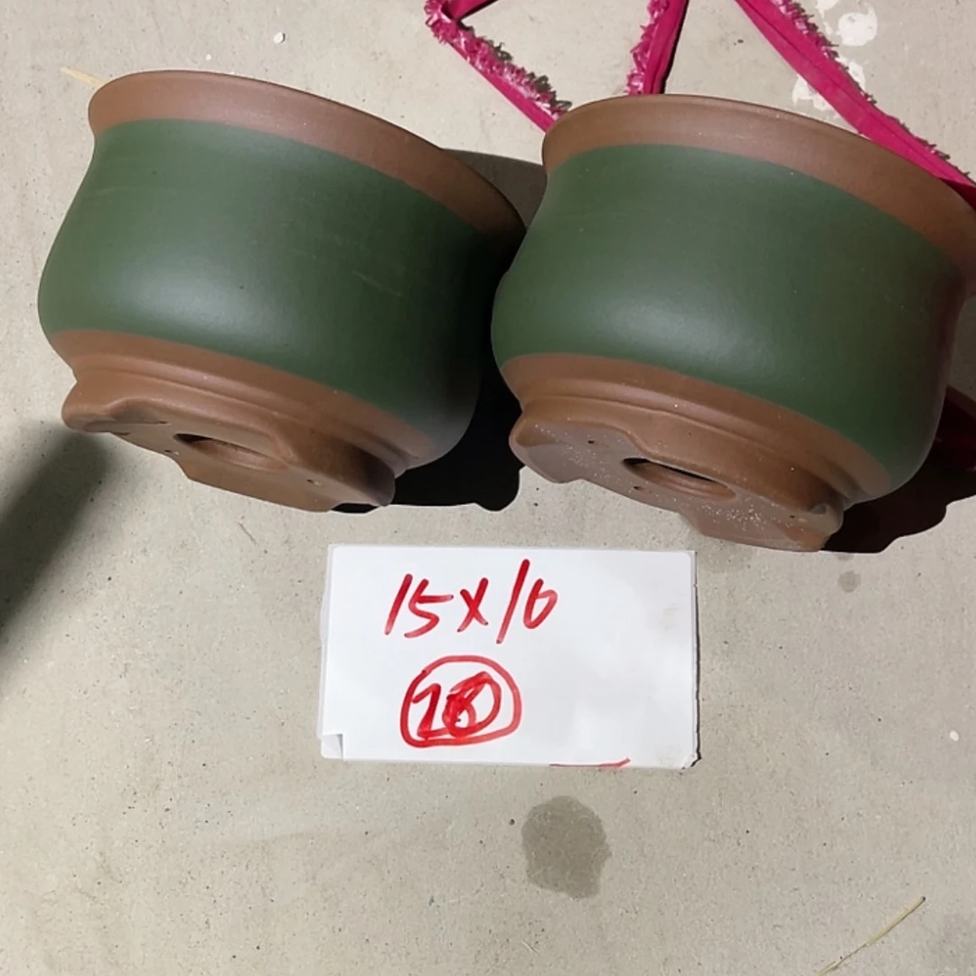 【闪购商品】紫砂20cm(含)-50cm(含)