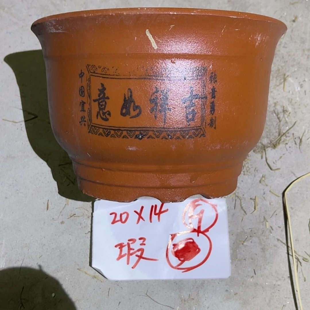 【闪购商品】紫砂20cm(含)-50cm(含)
