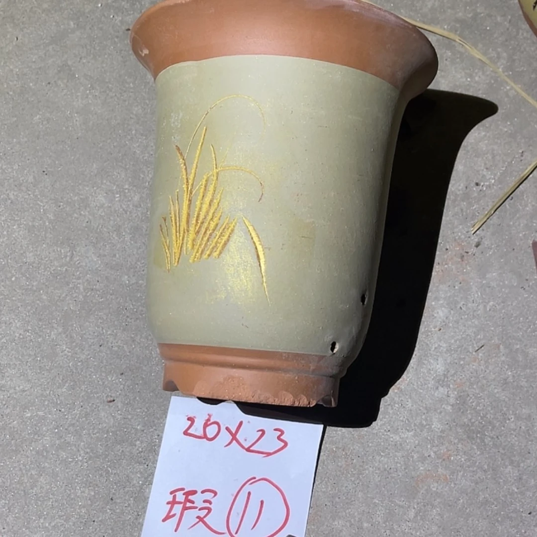 【闪购商品】紫砂20cm(含)-50cm(含)