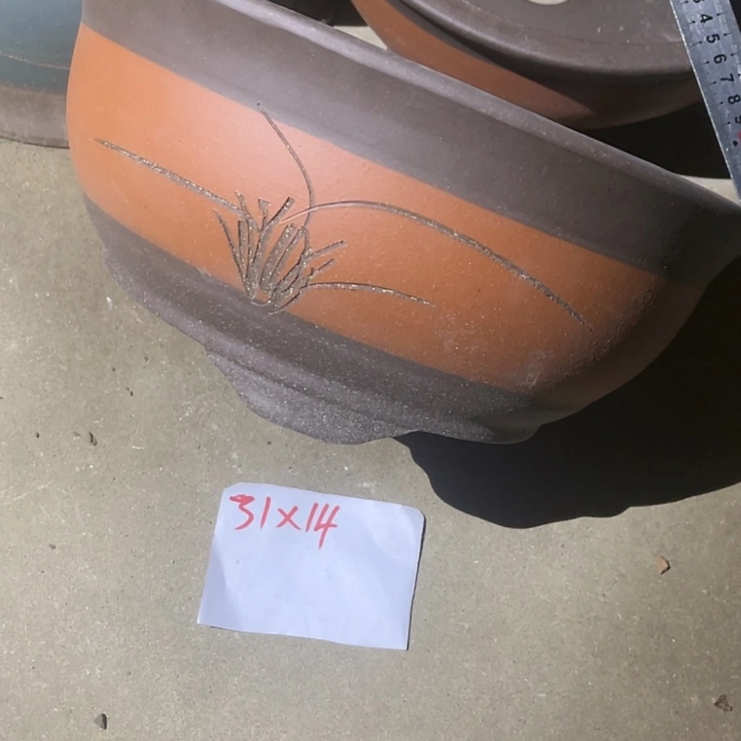 【闪购商品】紫砂20cm(含)-50cm(含)