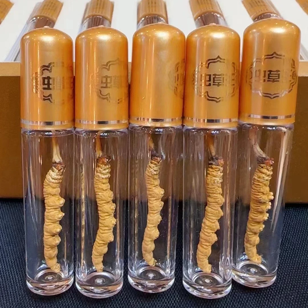 西藏阿木那曲冬虫夏草10-60根大气礼盒装 高海拔滋补西藏产地直发