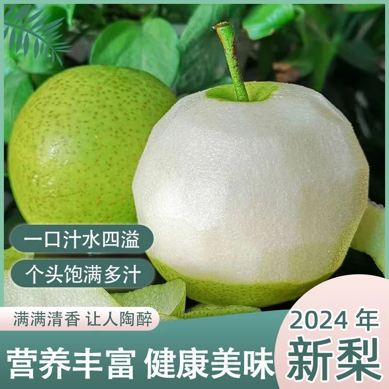 （坏果包赔）砀山翠绿梨脆甜4.5斤装河北皇冠梨酥脆清脆皮薄汁水