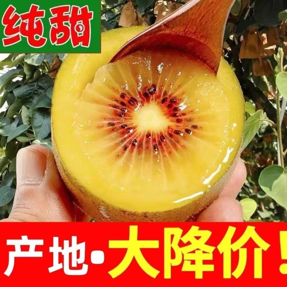 四川浦江红心猕猴桃新鲜应季水果孕妇小孩奇异果整箱包