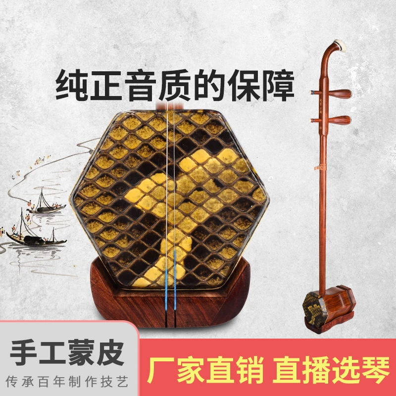 （型号-HM303）赵军二胡精品二胡古韵初学者大师专业