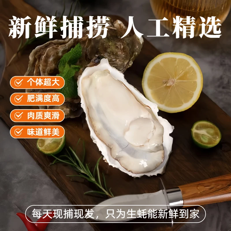 1+福建火山岛三倍体生蚝包鲜包肥