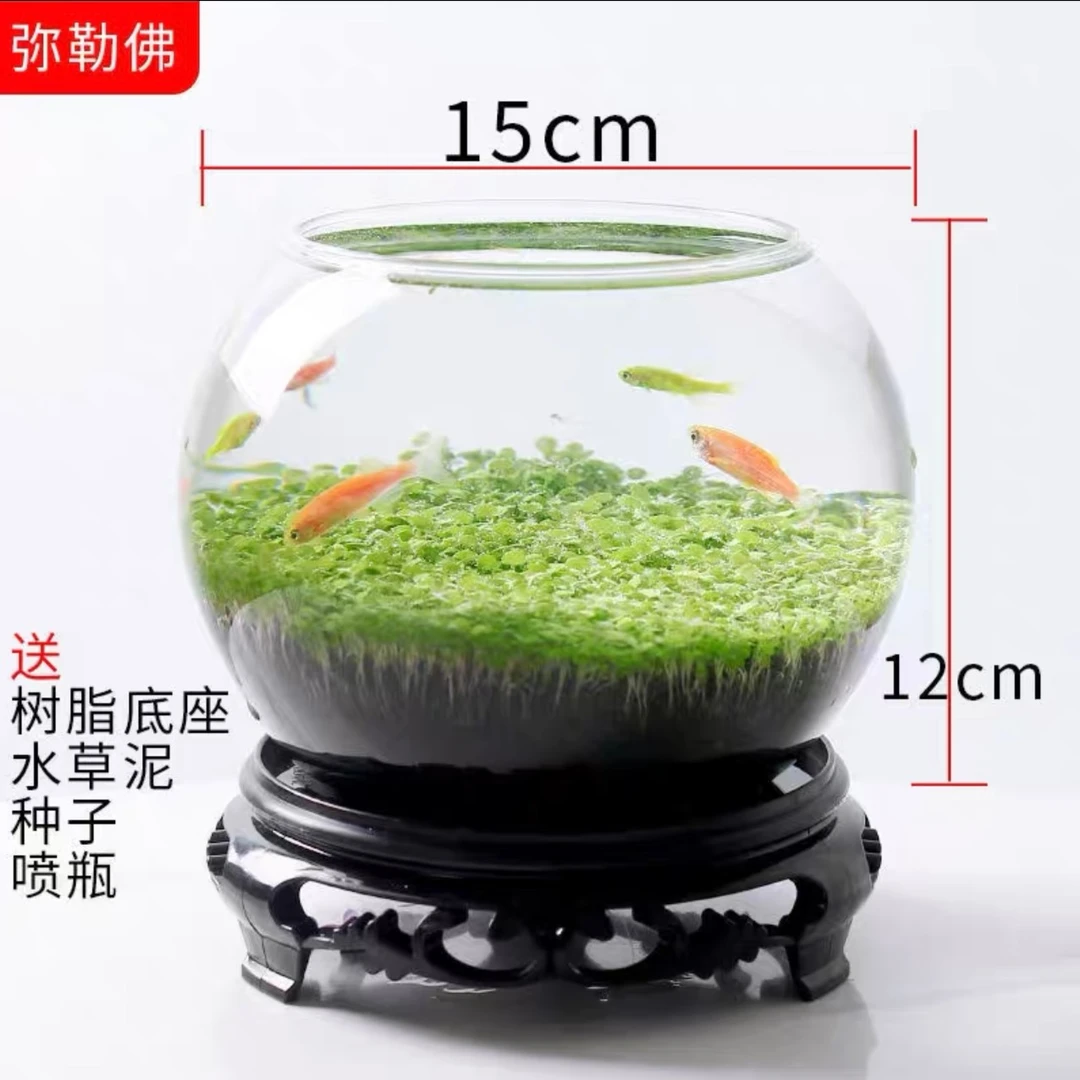 【1512弥勒佛】生态水草缸桌面水培微景观水草泥水草种子造景鱼缸