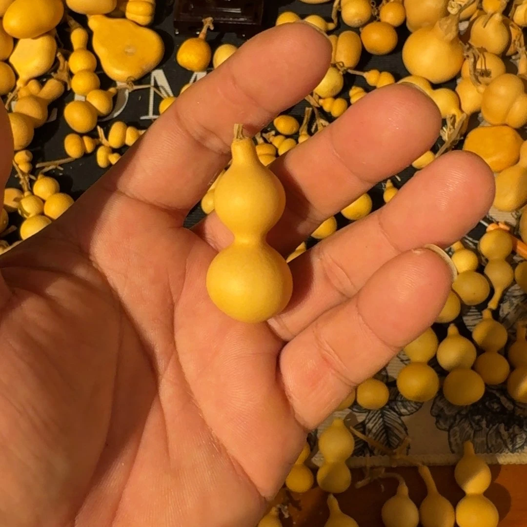 冯*升啦啦啦啦啦啦啦啦43