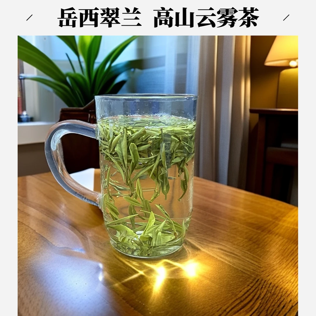 （年底清茶）岳西翠兰老本茶安徽绿茶高山云雾茶 兰花香