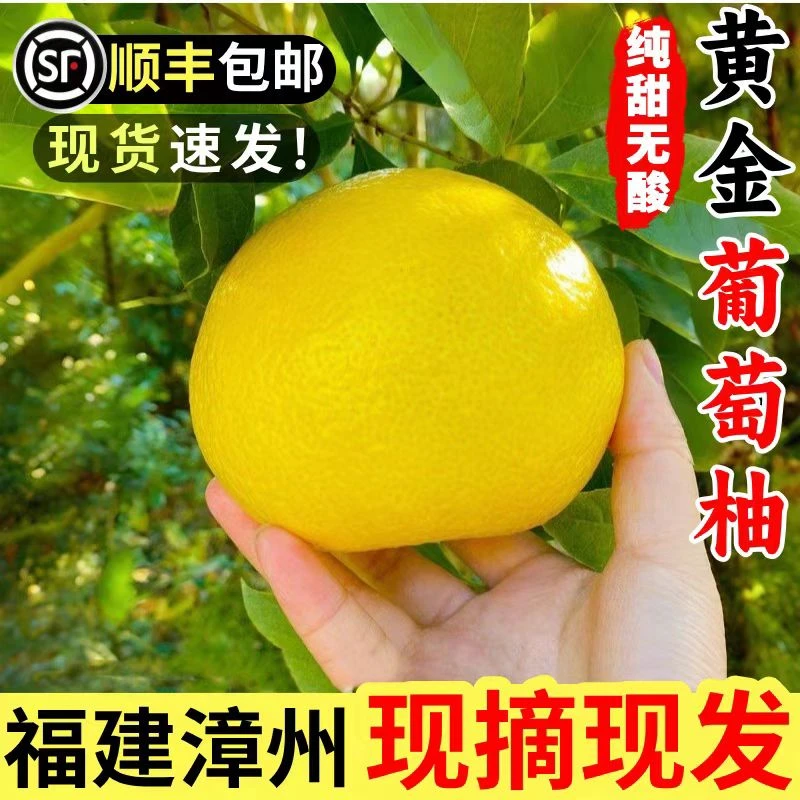 直【顺丰包邮】正宗福建漳州平和新鲜采摘爆汁黄金葡萄柚酸甜多汁