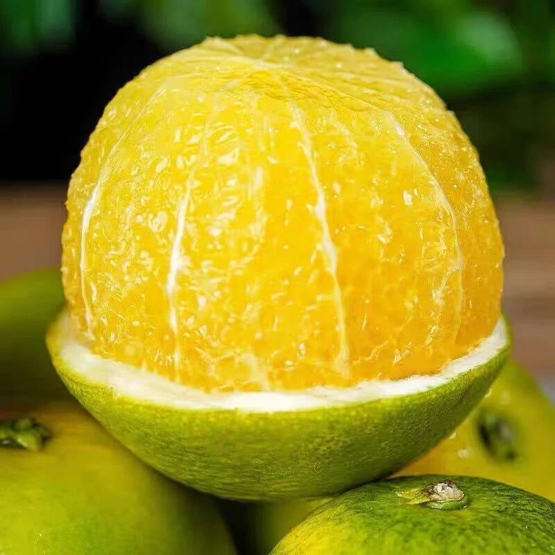 【甜到心巴果园】24年云南哀牢山冰糖橙绿皮橙子净重3斤5斤新鲜发货