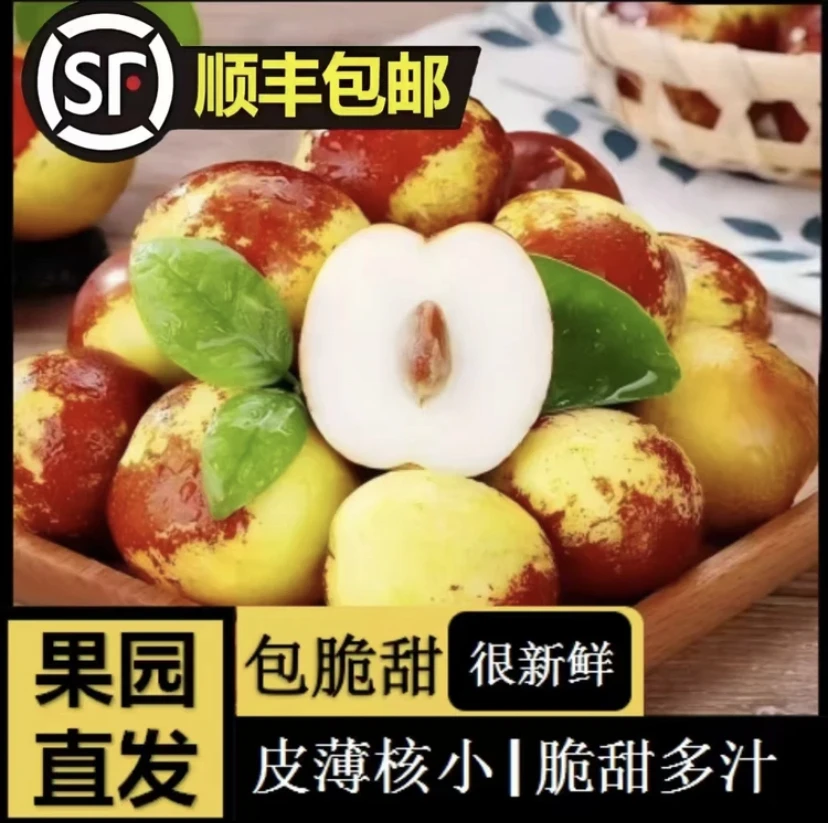 【庙上冬枣顺丰包邮】原产地现摘现发脆甜可口
