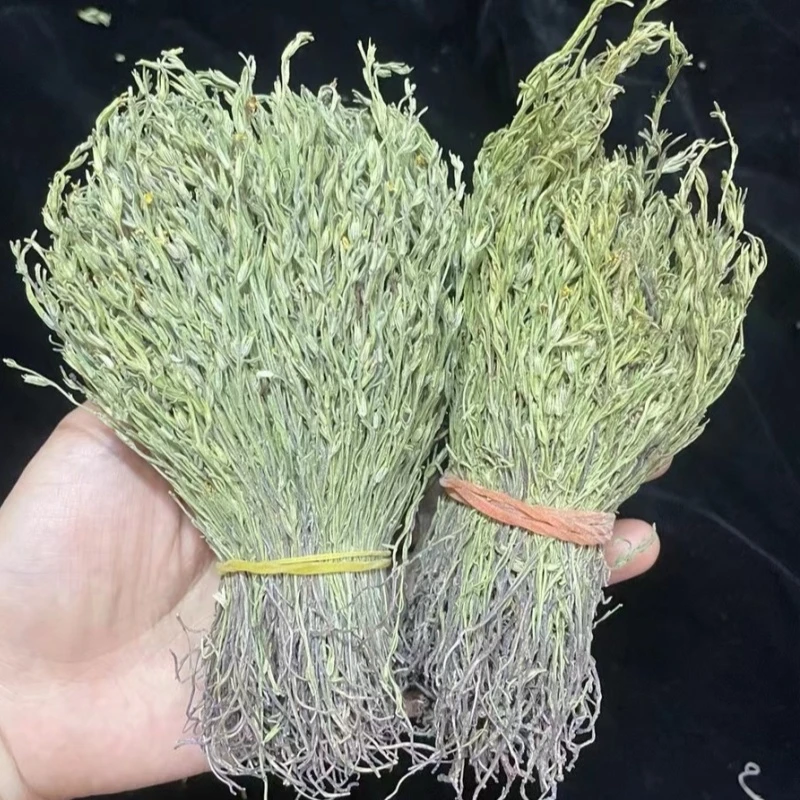 独脚金市场草本今年种植新货甘积草家中宝宝小孩子独脚金草实物