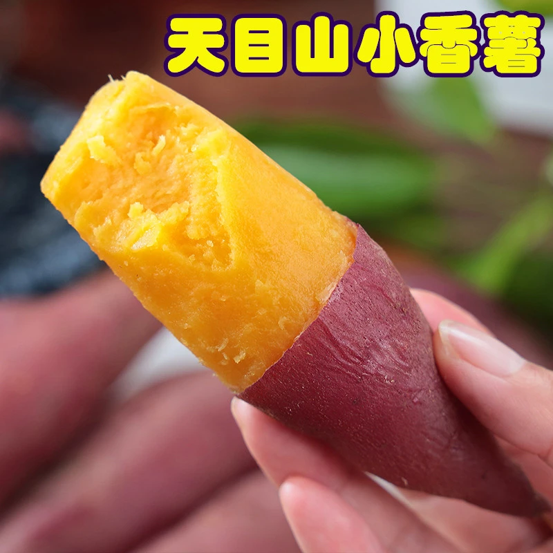 【新鲜现挖】正宗临安天目山小香薯精选中果5斤沙地薄皮黄心蕃薯