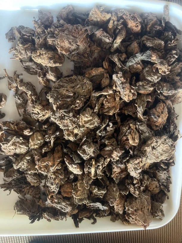 普洱熟茶小茶头2022年小户赛混采春料200g