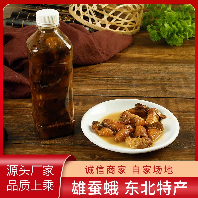 东北丹东特产未交尾雄蚕蛾