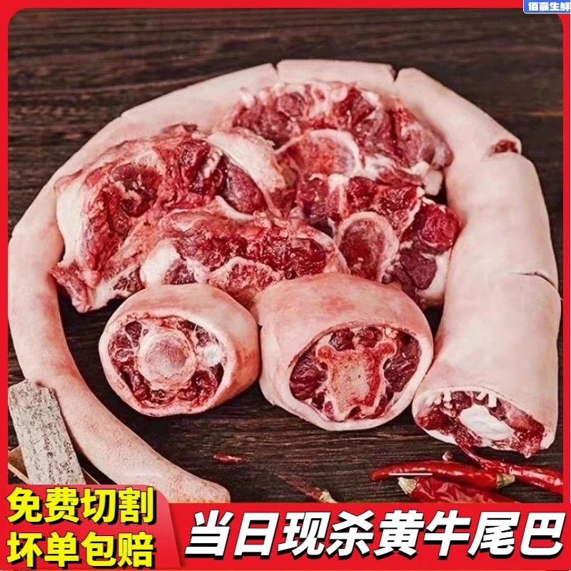 牛尾巴雪花4斤新鲜牛尾整根肉炖牛肉煲汤鲜嫩西冷营养滋补牛尾骨