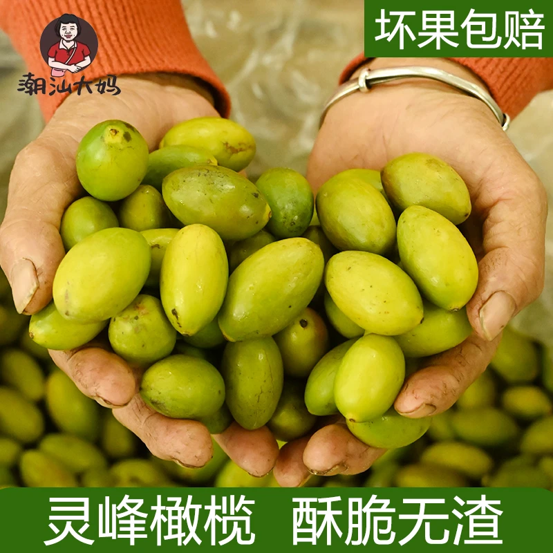 潮汕大妈 灵峰橄榄酥脆清甜金灶新鲜现摘橄榄果生吃无渣回味甘甜