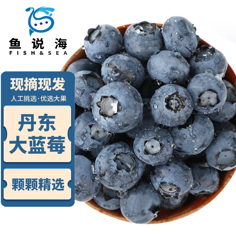 【鱼说海】丹东新鲜精品 蓝莓 15-18mm   收到冷藏2-3小时口感更好