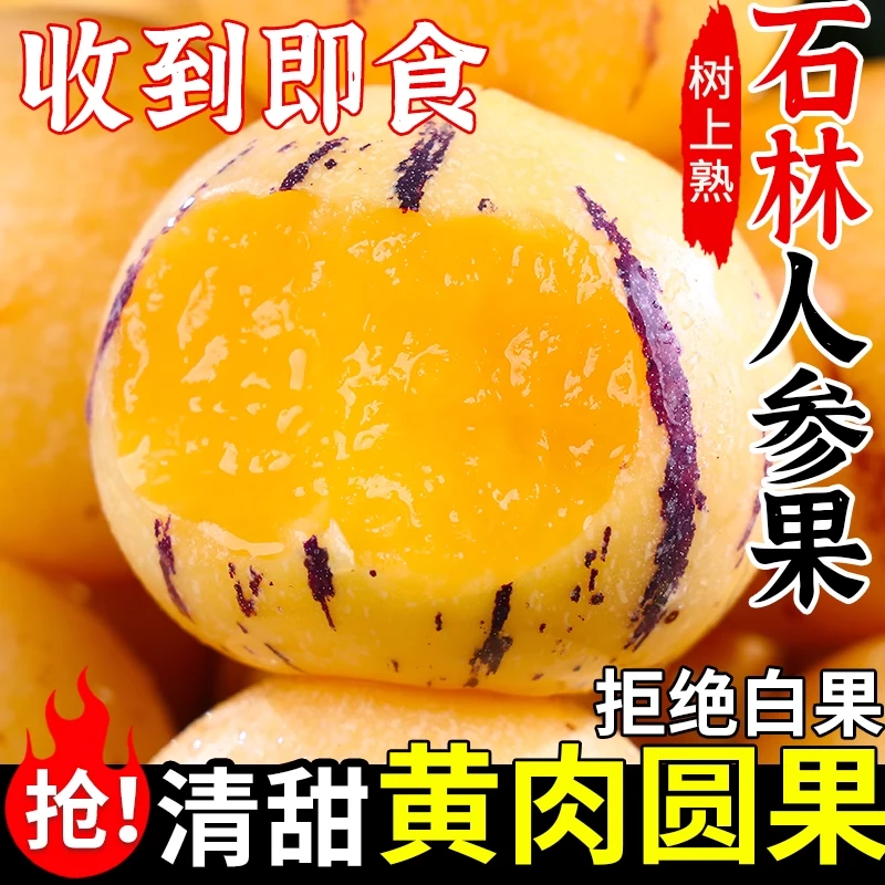 【3斤限时尝鲜】云南石林人参果黄肉树上自然成熟清甜多汁黄皮黄肉