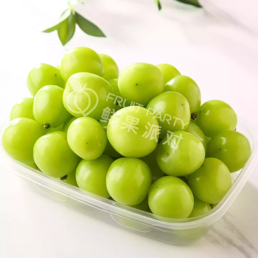 果切【一果一盒】香印青提 250g