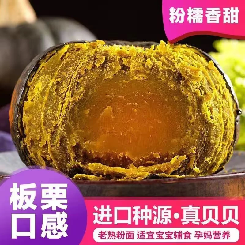 贝贝南瓜粉糯香甜宝宝辅食正宗新鲜