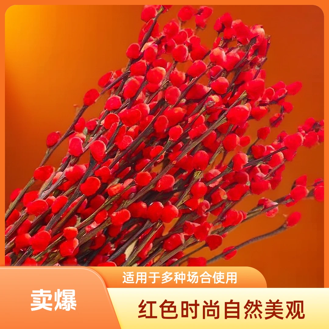 进口品质银柳年宵花红色时尚银柳开花植物干花四季开花过年家摆放