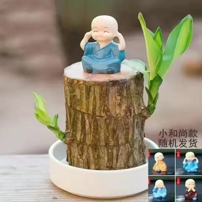 【驱蚊虫】清仓巴西木开花水养格鲁特木人桌面赖人绿植盆栽客厅室内