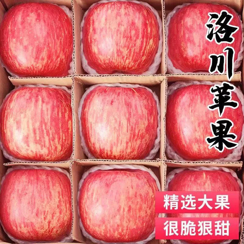 24现摘陕西洛川苹果正宗陕西洛川红富士苹果新鲜脆甜礼2斤5斤10斤