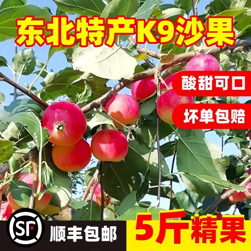 东北特产K9沙果新鲜k9小苹果当季海棠果酸甜孕妇水果整箱顺丰包邮