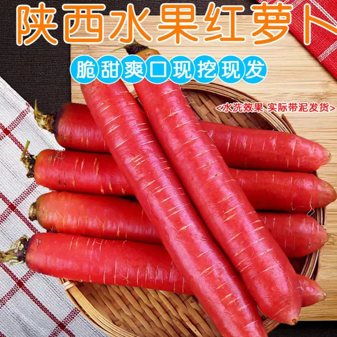陕西沙地水果红萝卜脆甜爽口净重5斤包邮