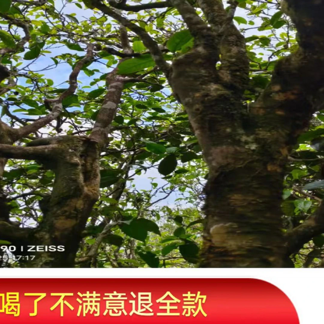 2024年散茶装普洱茶通用生茶花香袋装品牌耐泡