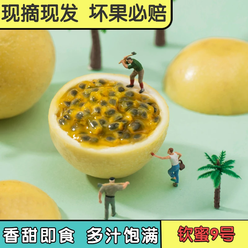 钦蜜9号黄金百香果 人气水果 维C丰富2斤装
