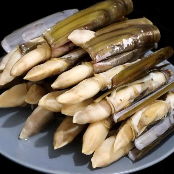 蛏子4斤大连海鲜鲜发大连海鲜保鲜不包活有碎壳开口