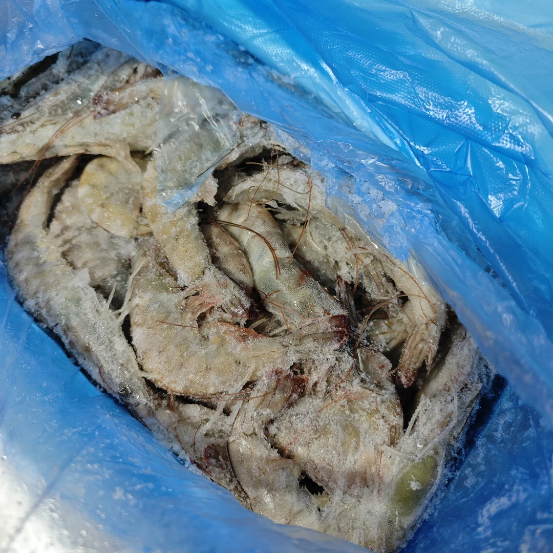 30/40海捕船冻冰板净重2.8斤左右大连海鲜冷冻发货2单包顺丰