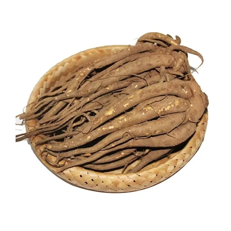 鲜当归新鲜当归现挖西归土当归菜当归批发煲汤食材秦归中药材滋补