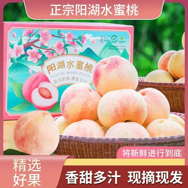 【5两】正宗阳湖湖景水蜜桃新鲜香甜水果爆汁多汁桃鲜果现摘现发