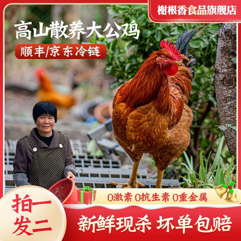 二只大公鸡农家土公鸡林地散养土鸡现杀现发2只净重5.5-6斤左右M