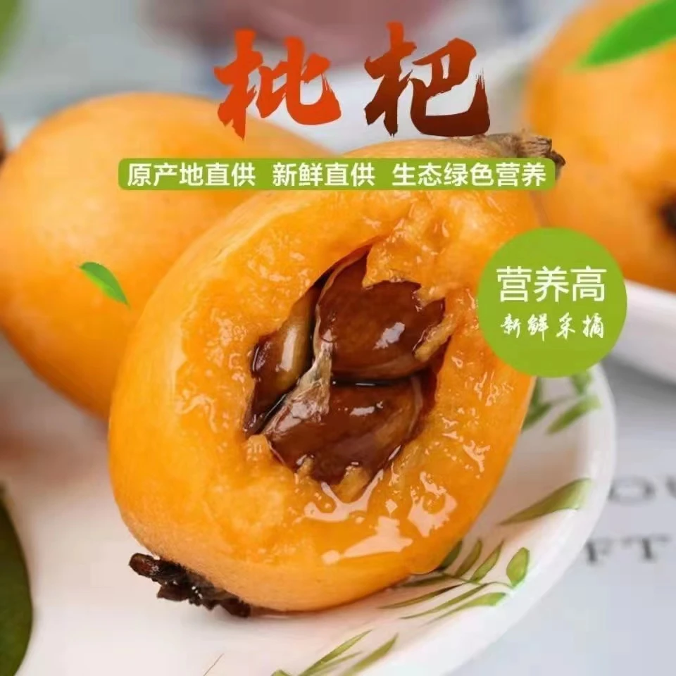 【顺丰包邮礼盒装】四川攀枝花米易枇杷产地现摘水果当季鲜果大果