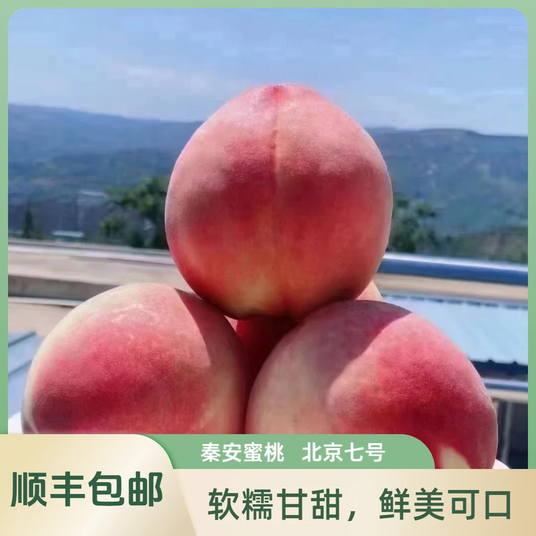 【北京七号】(甘肃省外)新鲜水蜜桃鲜应季孕妇水果桃子软糯甘甜多汁