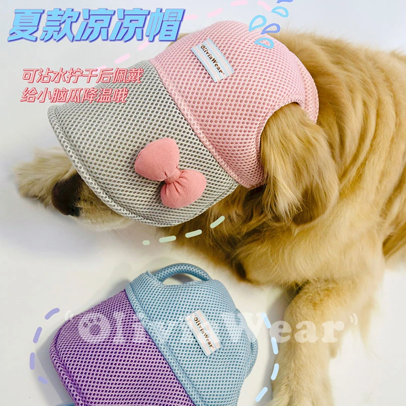 夏日降温帽 新品金毛泰迪可爱遮阳宠物棒球帽网眼透气露耳户外
