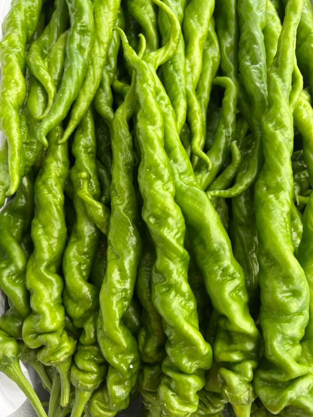 长春本地现摘新鲜螺丝椒