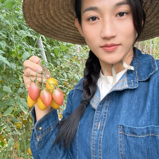 农户自种露天紫弹头圣女果小番茄脆甜多汁
