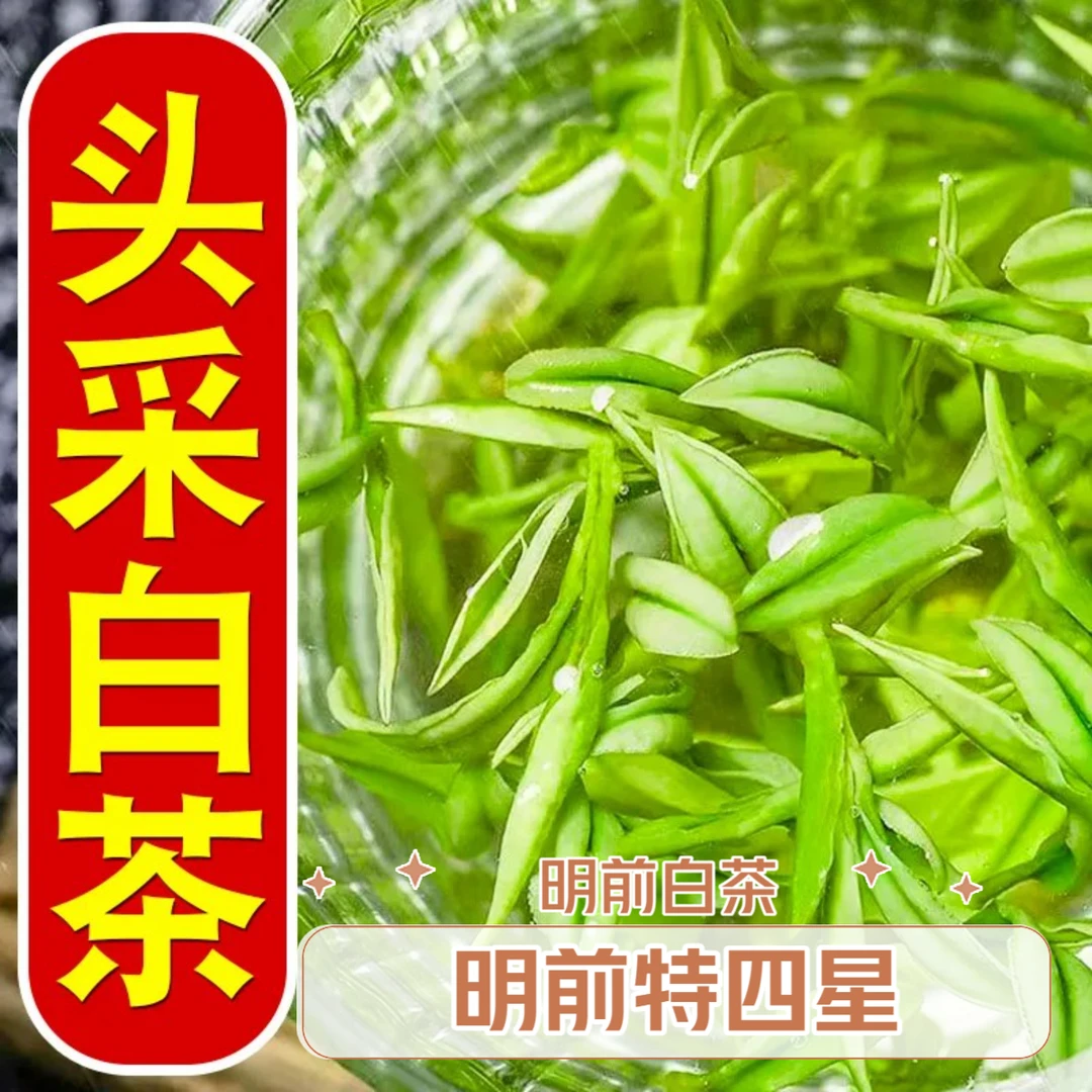 2025新茶【头采白茶】明前特4星正宗白茶浓香型正品茶叶礼盒罐装