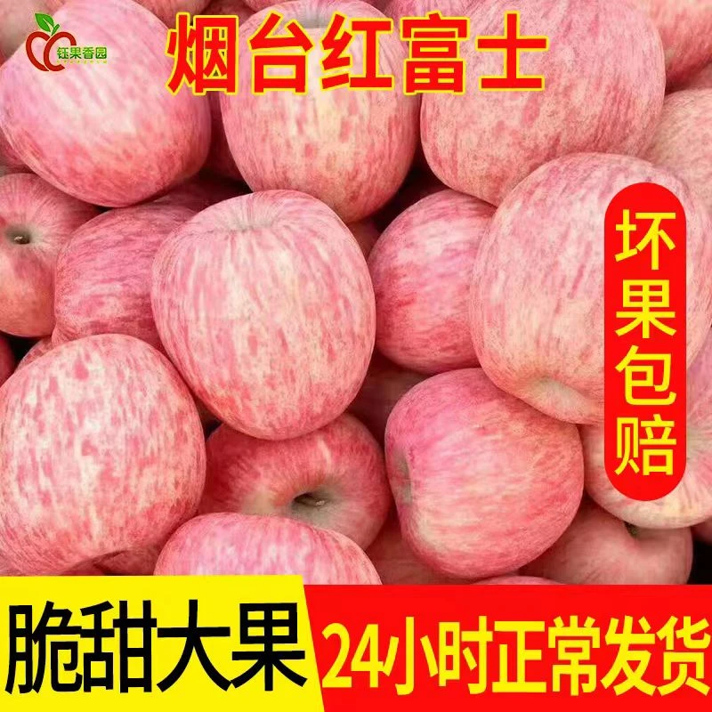 正宗的红富士苹果1-5斤大果口感酥脆水果新鲜当季采摘整箱包邮批