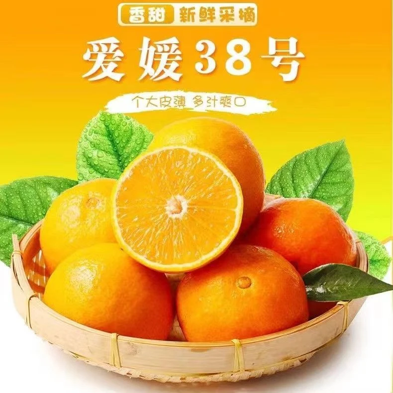 【东方甑选】四川眉山爱媛38号果冻橙子5/8斤现采现发新鲜薄皮甄选。
