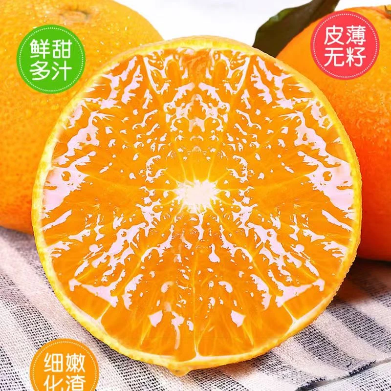 东方甑选 | 四川眉山爱媛38号果冻橙  原产地直发 酸甜可口 细嫩