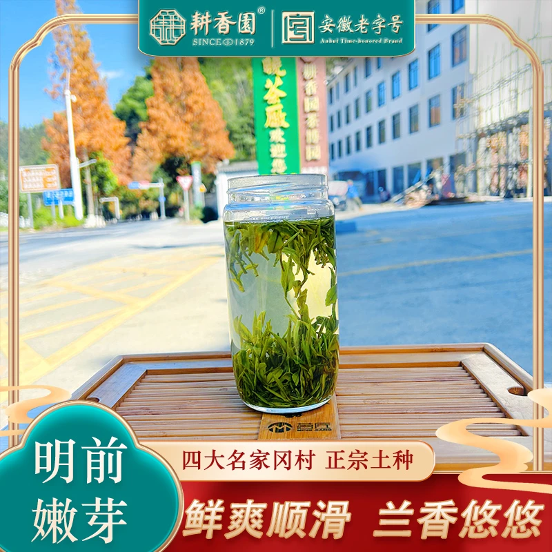 【年末好茶】2024明前特级黄山毛峰-浓香醇厚（带礼盒）