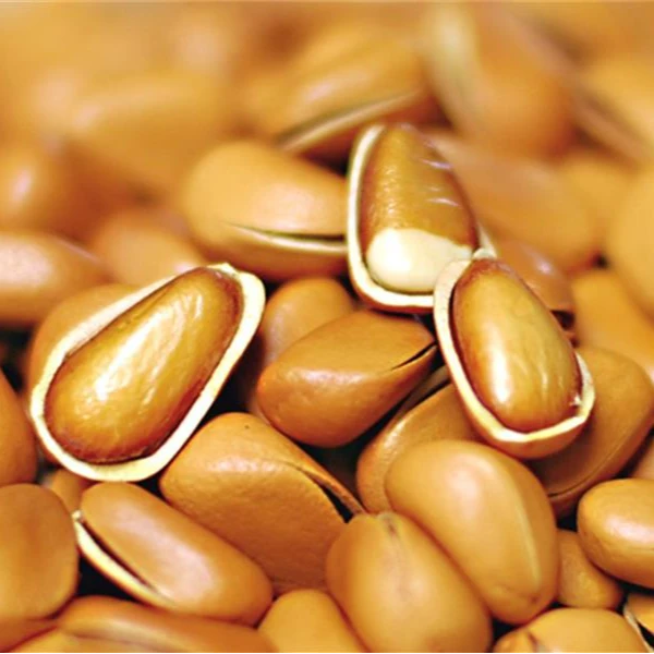 【新货东北开口松子】手剥大颗粒超大颗粒25年新货松子零添加坚果