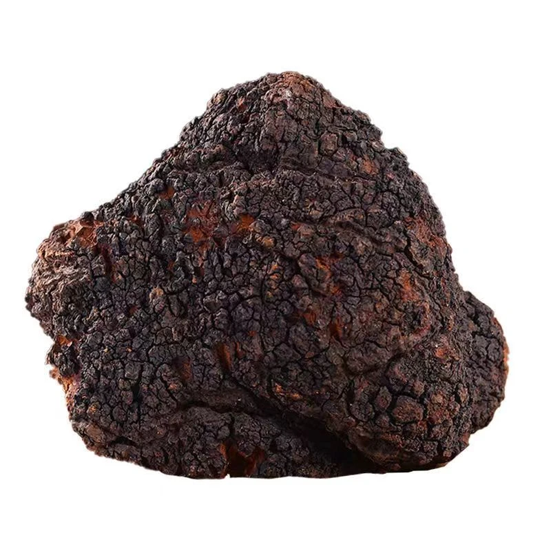 桦树茸（4斤整块）甄选白桦茸2000g